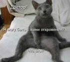 Прикрепленное изображение: ___________.jpg