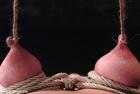 Прикрепленное изображение: amateur-fitness-models-in-bondage.jpg