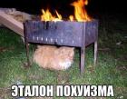 Прикрепленное изображение: 095.jpg