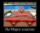 Прикрепленное изображение: 069у.jpg