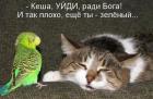 Прикрепленное изображение: image.jpeg