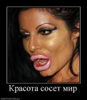 Прикрепленное изображение: image.jpeg