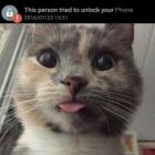 Прикрепленное изображение: 111.jpg