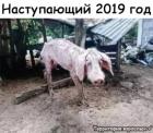 Прикрепленное изображение: IMG-20181228-WA0010.jpg
