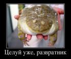 Прикрепленное изображение: image.jpeg
