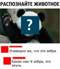 Прикрепленное изображение: 5xxRHLDgRQc.jpg