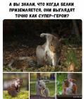 Прикрепленное изображение: 1579606199.jpg