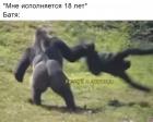 Прикрепленное изображение: bc_7Nrf2QHc.jpg