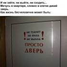 Прикрепленное изображение: 6j1ZyYyEF5g.jpg