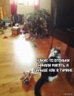 Прикрепленное изображение: 1609396894.jpg