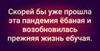 Прикрепленное изображение: IMG-20210101-WA0001.jpg