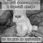 Прикрепленное изображение: photo_2020-12-28_00-26-46.jpg