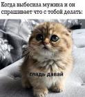 Прикрепленное изображение: Гладь давай.jpg