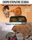 Прикрепленное изображение: 471270377_9177671368943554_313350839095535759_n.jpg