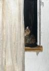 Прикрепленное изображение: KqM_nDfkHB0.jpg