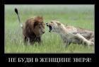 Прикрепленное изображение: x_0444d9b5.jpg