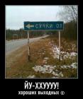 Прикрепленное изображение: image.jpg