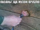 Прикрепленное изображение: image.jpg