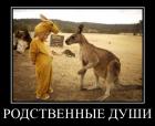 Прикрепленное изображение: image.jpg
