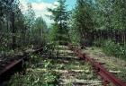 Прикрепленное изображение: 0f0156813ad8.jpg