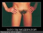Прикрепленное изображение: 3683979m.jpg