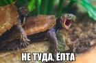 Прикрепленное изображение: Не туда.jpg