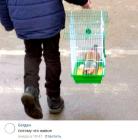Прикрепленное изображение: image.jpeg