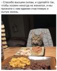 Прикрепленное изображение: CZ0qPUHCT3M.jpg