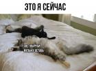 Прикрепленное изображение: obKTs59DqgE.jpg