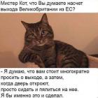 Прикрепленное изображение: muKzOtypsIU.jpg