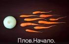 Прикрепленное изображение: 1580915286.jpg