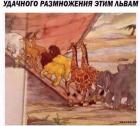 Прикрепленное изображение: 1582274488.jpg