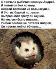 Прикрепленное изображение: iwuCbw77eoM.jpg