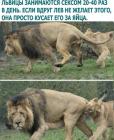 Прикрепленное изображение: IMG_20210227_001446_581.jpg