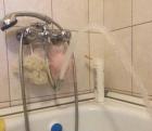 Прикрепленное изображение: IMG_0429.JPG