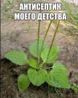 Прикрепленное изображение: image.jpeg