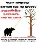 Прикрепленное изображение: image.jpeg