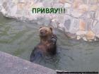 Прикрепленное изображение: 4v.jpg