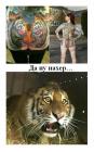 Прикрепленное изображение: image.jpeg