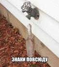 Прикрепленное изображение: E3FyYptAVE4.jpg