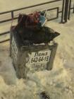 Прикрепленное изображение: IMG_20190303_213738.jpg