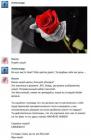 Прикрепленное изображение: цветы.jpg