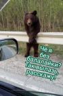 Прикрепленное изображение: 1583173010.jpg
