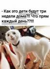 Прикрепленное изображение: 1584964665.jpg