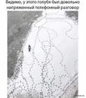 Прикрепленное изображение: 1582969593.jpg