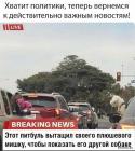 Прикрепленное изображение: 1583223064.jpg