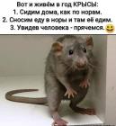 Прикрепленное изображение: IMG-20200327-WA0003.jpg