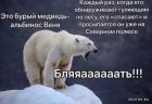 Прикрепленное изображение: 1583398751.jpg