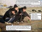Прикрепленное изображение: 163170372_108145107914179_8175420840137709642_n.jpg