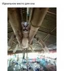 Прикрепленное изображение: IMG_20210328_210108_918.JPG